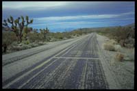 Mojave Desert