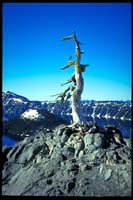 Am Crater Lake