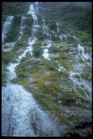 Wasserfall am Milford Track (3.Tag)