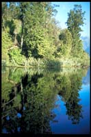 Am Lake Matheson