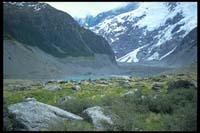 Auf dem Kea Point Track