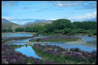 Am Ahuriri River
