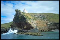 Taiaroa Head