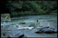 Angler im Clinton River