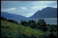 Lake Hawea