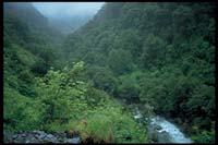 Wilde Landschaft hinter dem Haast-Paß