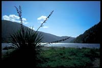 Am Lake Paringa