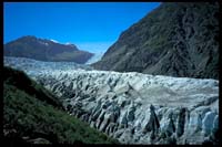 Fox Glacier