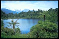 Am Lake Mapourika