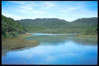 In der Okarito Lagoon