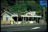 'The Mussel Boys' - Havelock