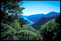 Blick auf das Tennyson Inlet