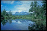 Paddeln in Kvikkjokk