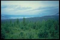 Auf dem Kungsleden