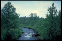Auf dem Kungsleden