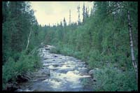 Auf dem Kungsleden zwischen Parte und Rittak