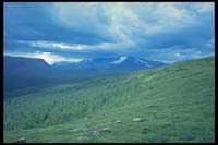 Auf dem Kungsleden zwischen Parte und Rittak