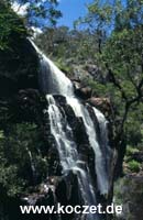 MacKenzie Falls