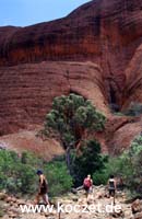 Olgas