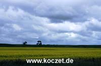 Landschaft zwischen Koroit und Penshurst