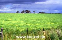 Landschaft vor Drung Drung