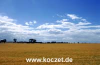 Landschaft vor Drung Drung