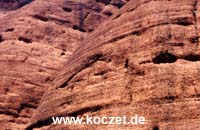 Olgas