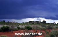 Kreative Natur