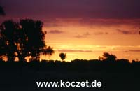Sonnenuntergang nahe Kings Canyon