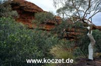 Kings Canyon