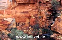 Kings Canyon