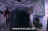In Crocodiles Nest