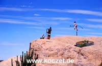Im Vorgarten von Crocodiles Nest