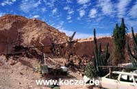 Im Vorgarten von Crocodiles Nest