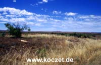 Flinders Ranges