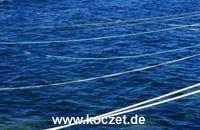 Insel-Detail