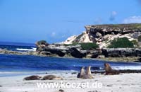 Seal Bay