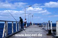 Angler an der Jetty von Kingscote