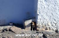 Andalusische Hundehütte