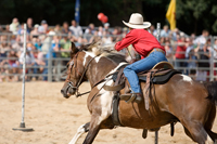 Rodeo