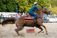 Rodeo