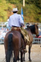 Rodeo