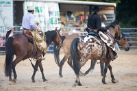 Rodeo
